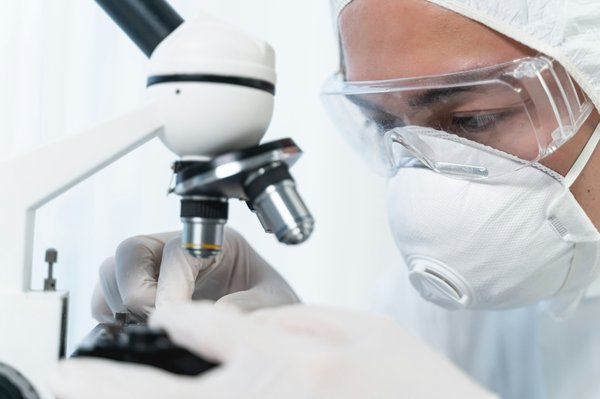 Comment devenir un expert en gestion de la biodiversité pour les projets de développement urbain ?